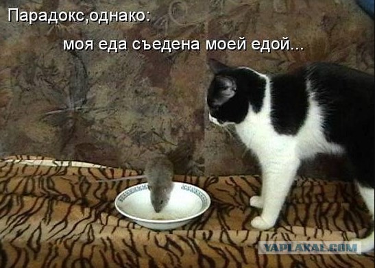 14 парадоксов, которые невозможно объяснить (но ЯПовцы смогут)