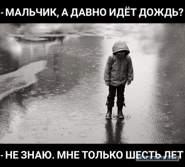Жара на западе Европы побила рекорд температуры несколько раз за лето. Она выводит из строя поезда и вызывает пожары