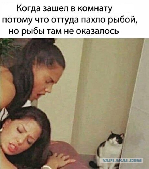 Бабы дуры. Примеры  из одного прошлого романа