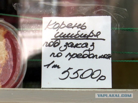 Просто имбирь