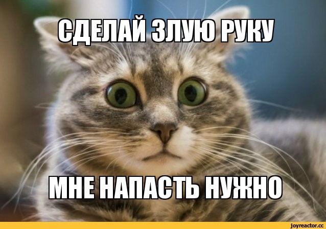 Жесткая расправа хищника над человеком