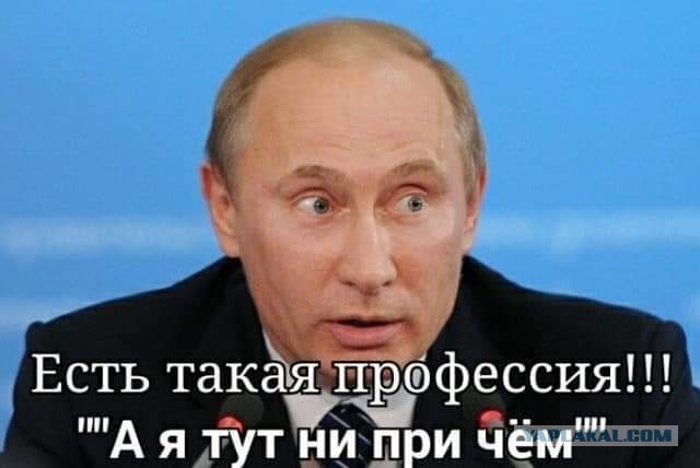 Российский военный чиновник вырубил лес для Китая на 4 миллиарда