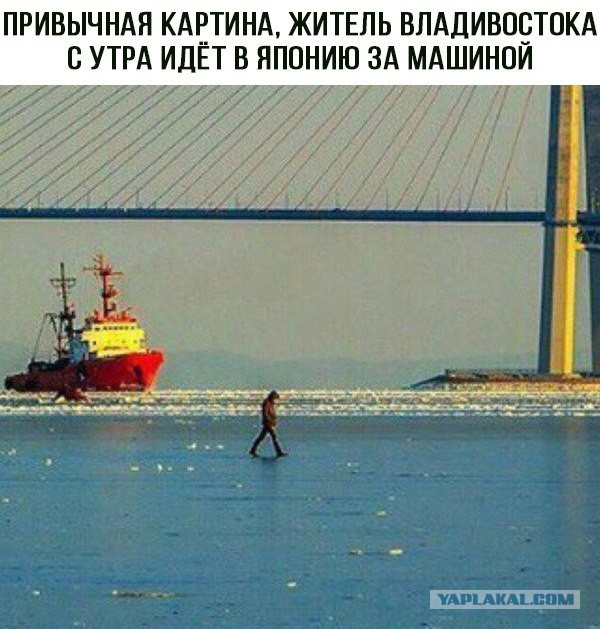 Юмор в картинках 6.12.20
