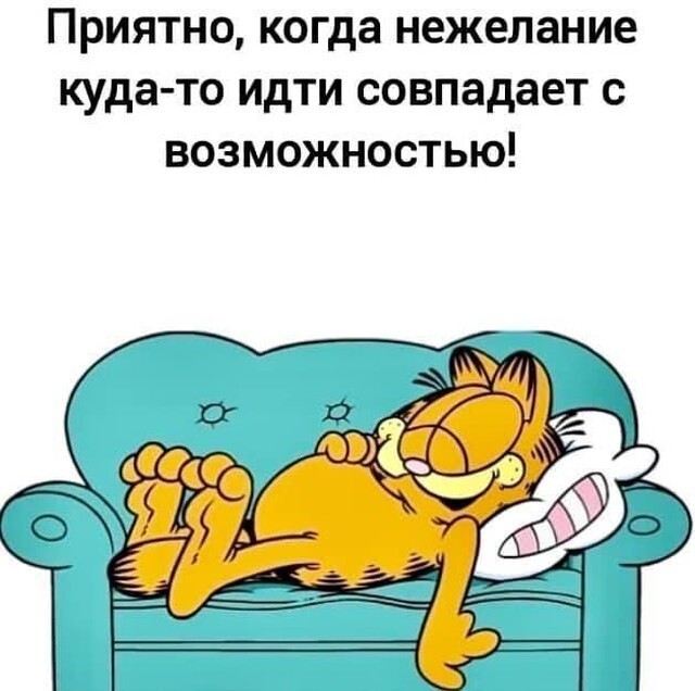 Картинки из недр интернета