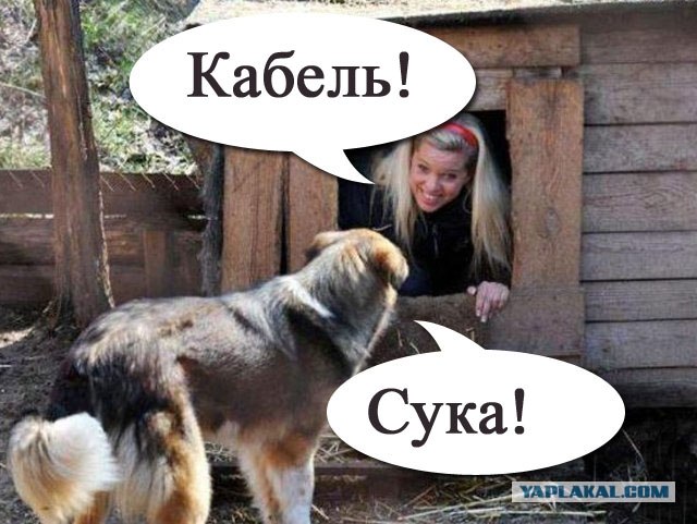 Фотожаба: Собака с Девушкой
