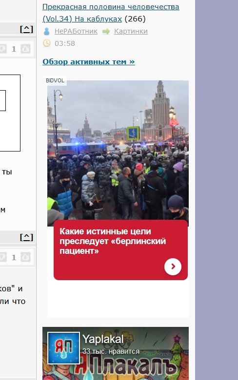 Депутат от Ирландии разносит Европарламент за поддержку Навального