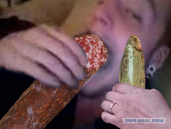 Любопытный котенок