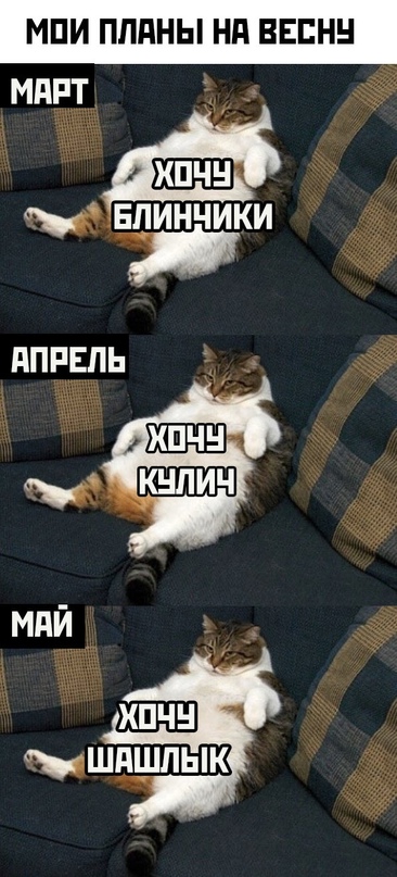 Весёлый полтишок 4.03