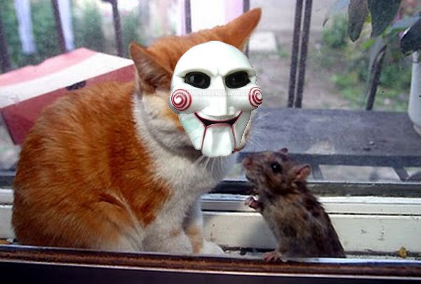 Пойграй с бурундуком