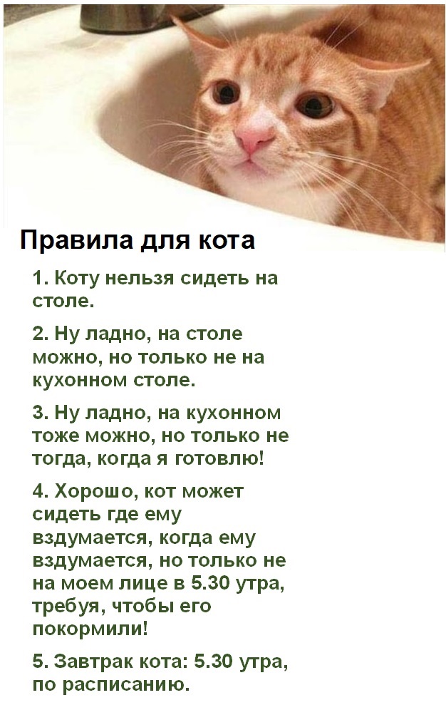 Картинки с надписями и всякие жизненные фразы 25.05.21