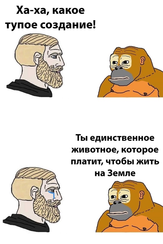 Весёлый полтишок 5.07