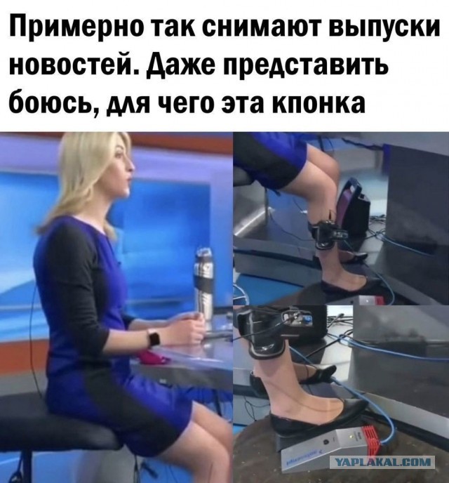 Кретинизмы из сети 3.08.2021