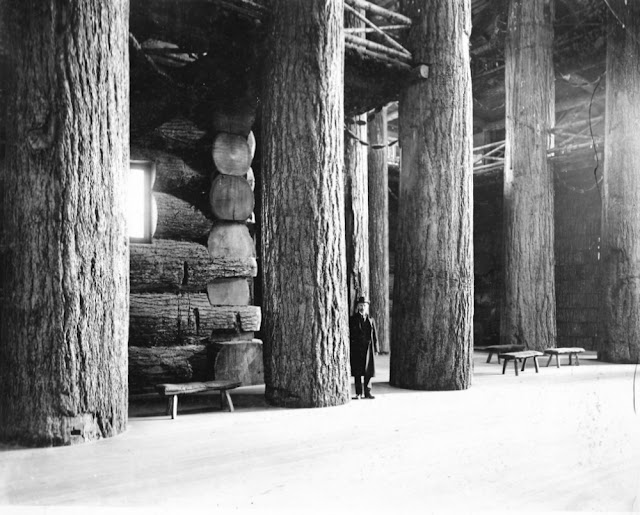 Самая большая бревенчатая хижина в мире: история здания лесного хозяйства в Портленде, штат Орегон