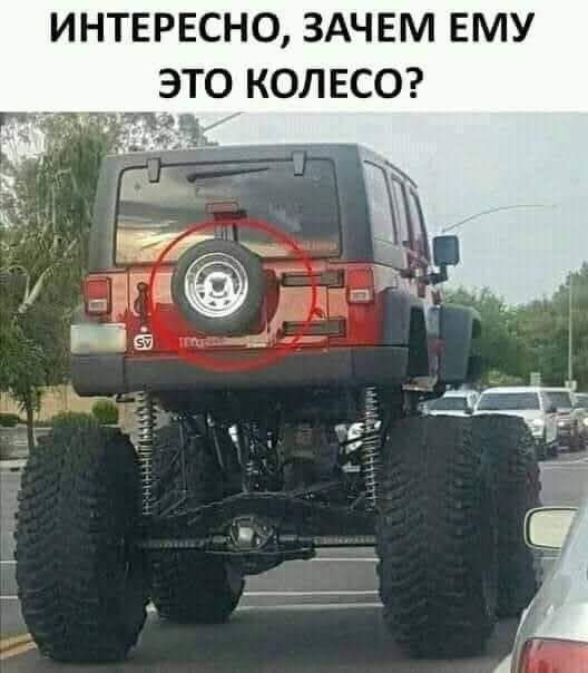 Всяческие картинки 01.12.2021