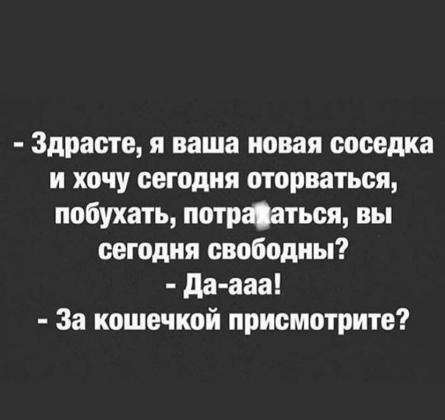 Пятница. И немного слегка пошлых картинок с надписями и без 16+ (10.12)
