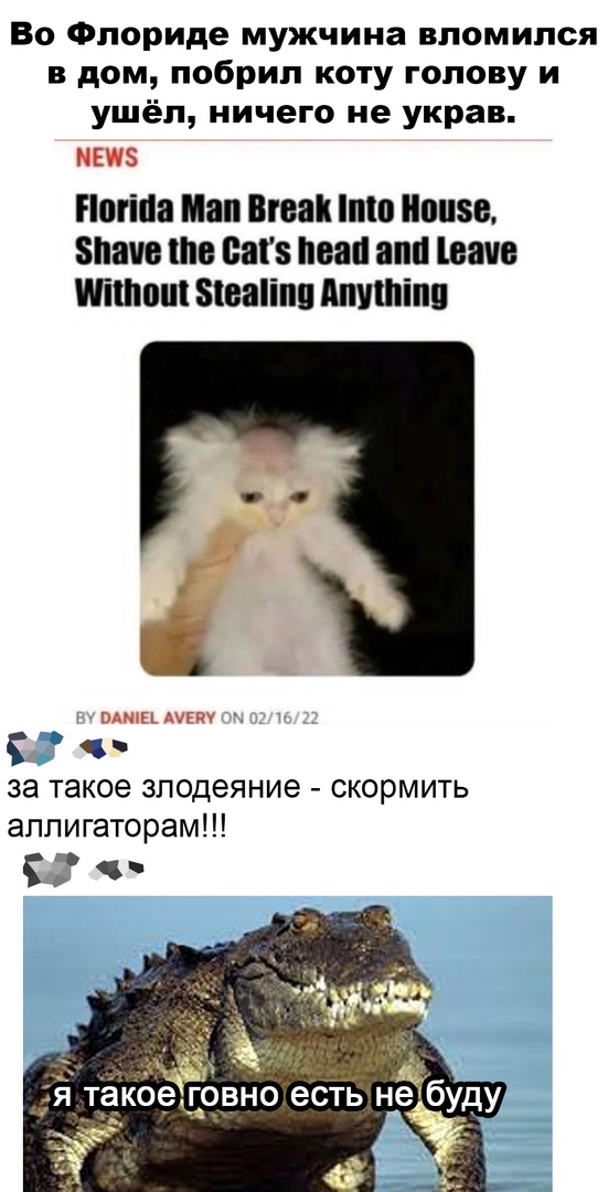 Так себе картинки 23.02.22
