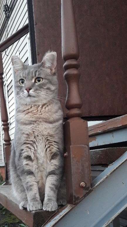 Намекнуть моему рабу