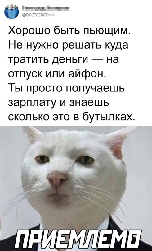 Картинки и мемы для настроения 31.03.2022