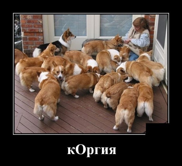 Картинки с надписями 22.06.22