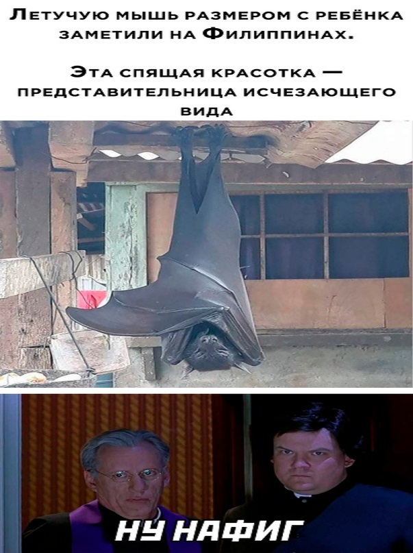 Немного картинок для настроения - 112
