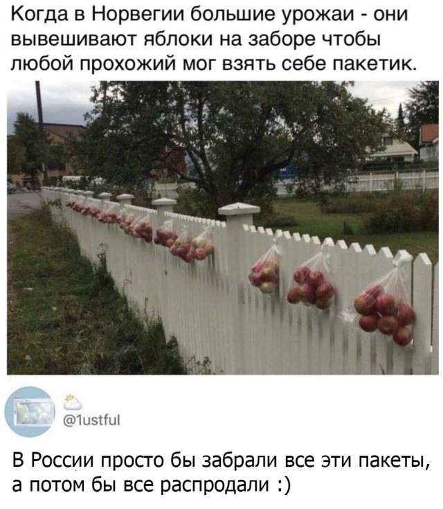 Немного картинок."Колбасный ветер". Август