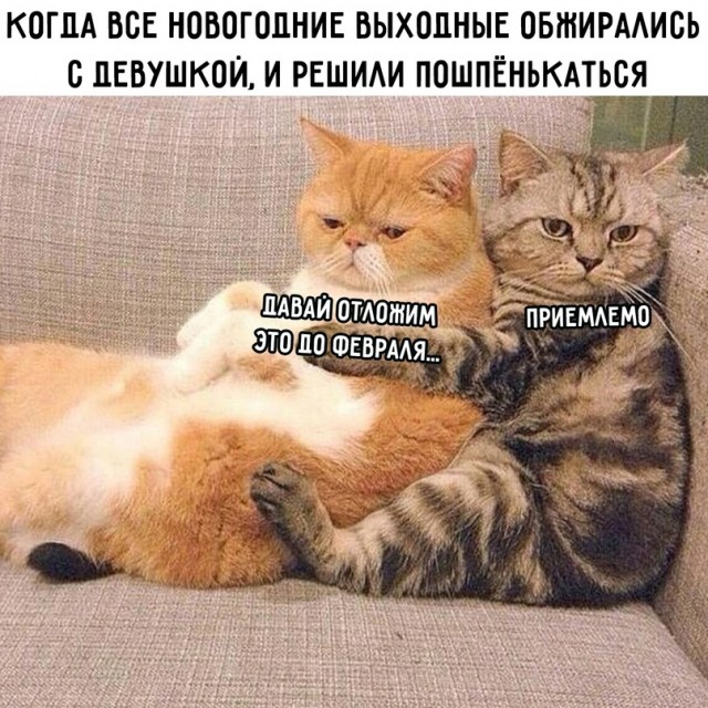 Немного картинок для настроения/постпраздничное