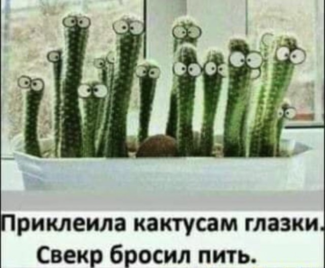Картинки и мемы для настроения - 187