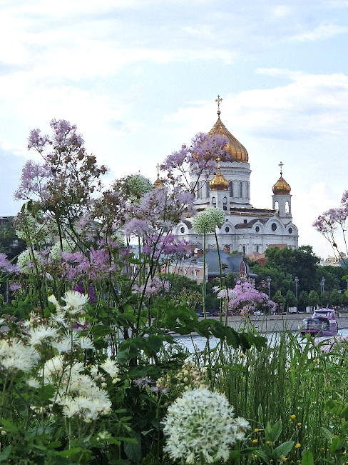 Как прекрасен этот мир