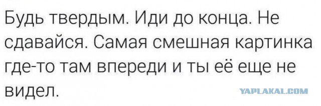 Всего понемногу. От 01.12.23