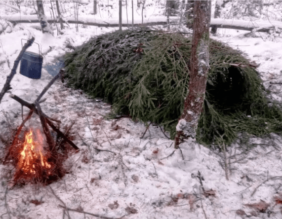 Трудности побега из тюрьмы в тайге