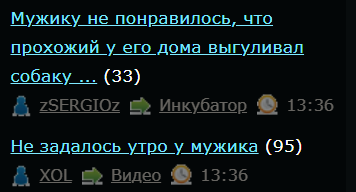Мужику не понравилось, что прохожий у его дома выгуливал собаку без поводка. Ну и отхватил...