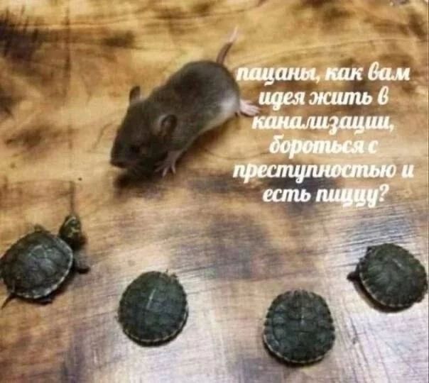 Черепашки-ниндзя: Веселые и ностальгические картинки