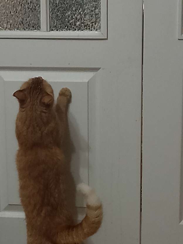 Сборник рассказов ЯПовских авторов. Обсуждение проблемы.