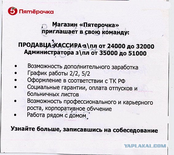 300$. ЗП рядового сотрудника в Региональных "магнитах⁠"⁠