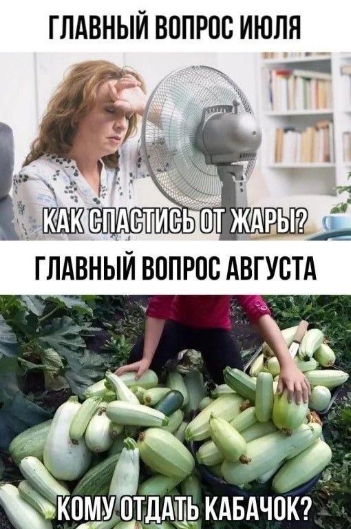 Началось!