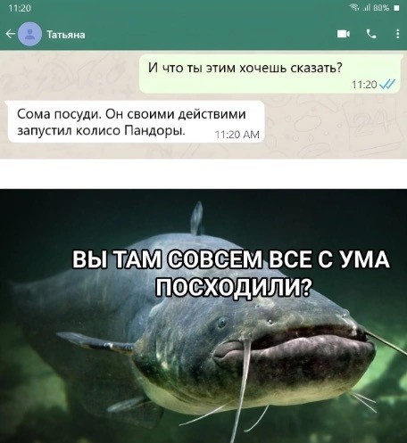 Завалялось тут случайно немного забавных картинок