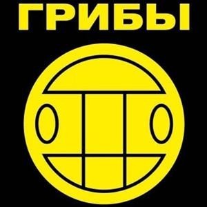Быстрая тихая охота