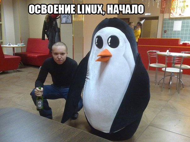Околоайтишные мемчики 6