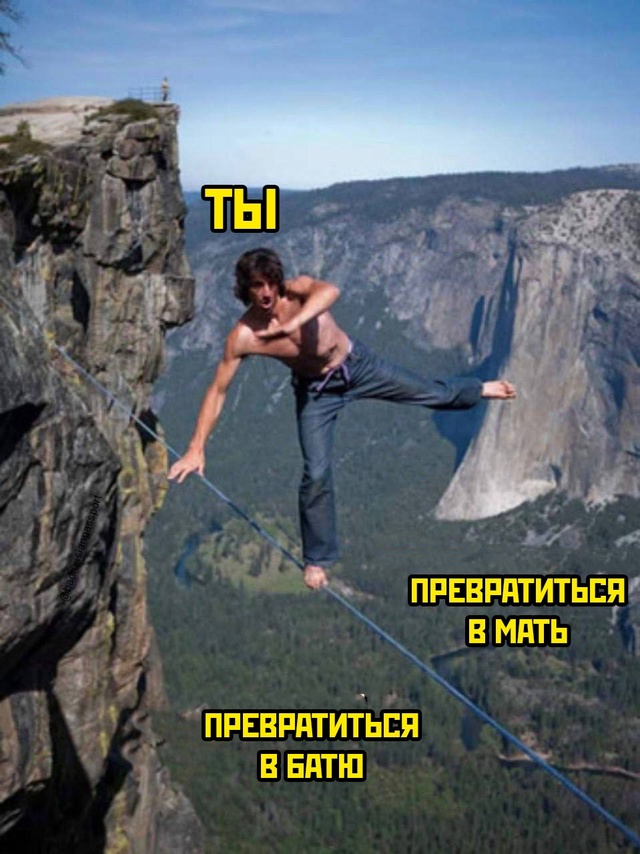 Весёлый полтишок 27.02.2025