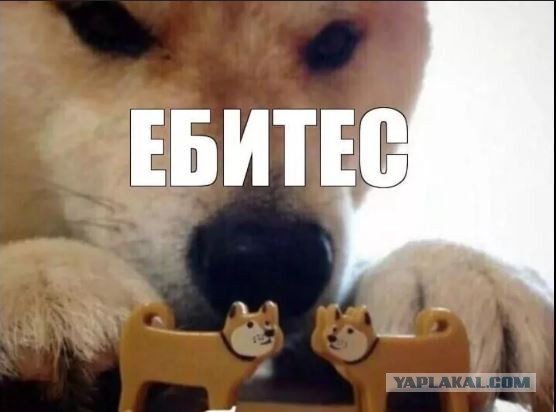 Замкадье для замкадышей!