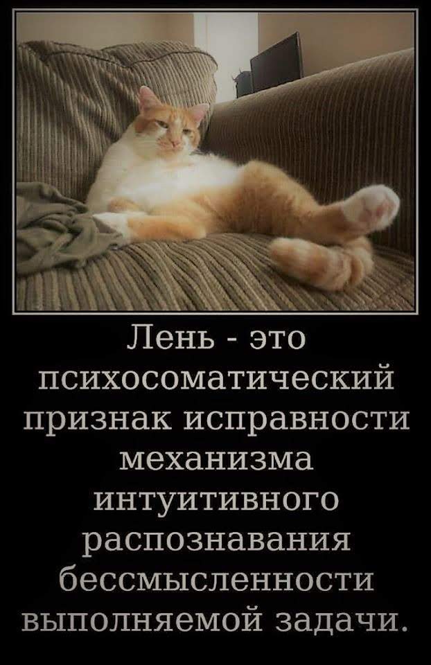 К котовторнику: подборка картинок-баянов с котиками и про котиков. Выпуск 9