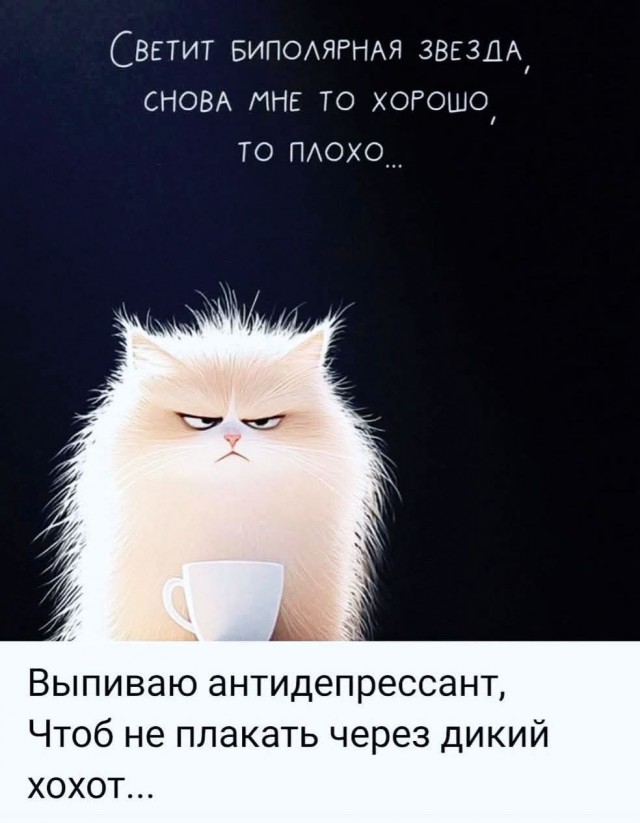 К котовторнику: подборка картинок-баянов с котиками и про котиков. Выпуск 13