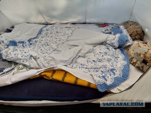 Алаколь. Всё включено отдыхать хорошо, а дикарями лучше