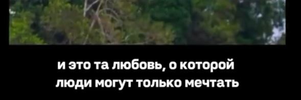 Нифига себе какая любовная движуха у этих пернатых