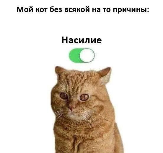 Картинки для деградации 145 (разной степени свежести)