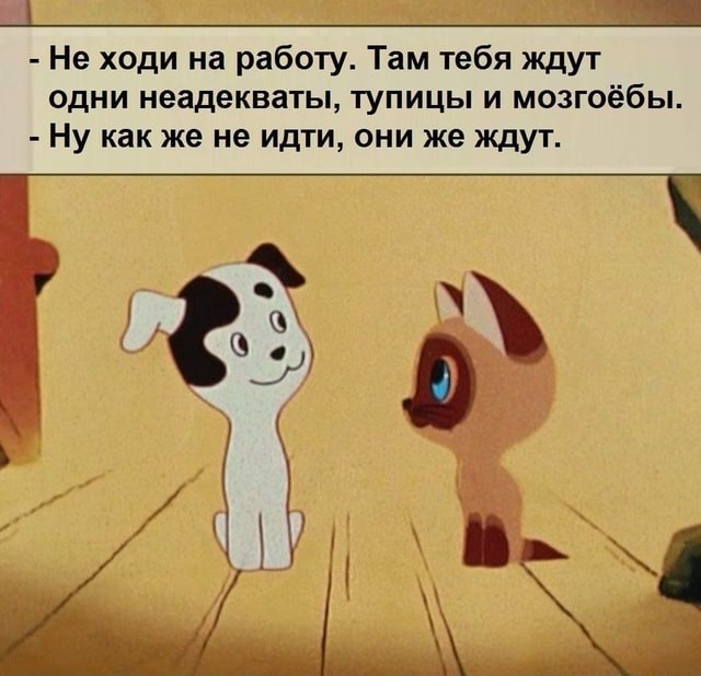 Мультипликационному фильму «Котёнок по имени Гав» - 50 лет!
