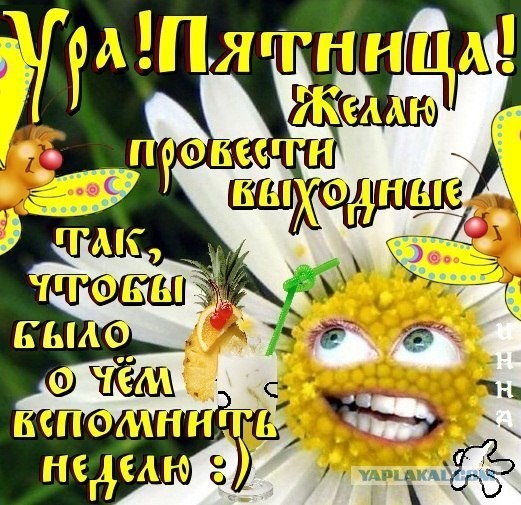 Конкурс мокрых маек на Z
