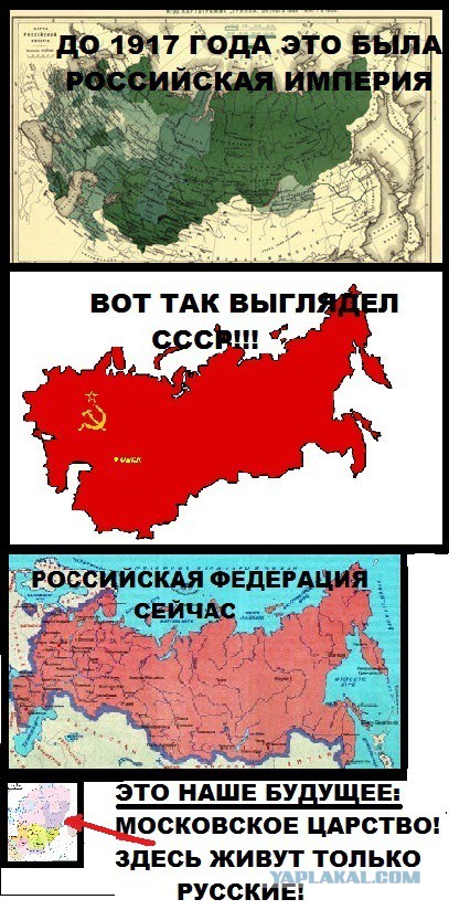 За ночь в Ростове сожгли 6 автомобилей