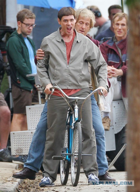 "Тупой и еще тупее": 20 лет спустя