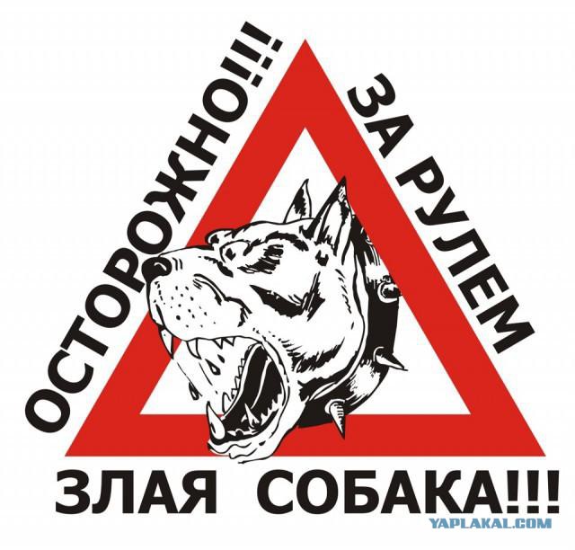 Почему я такой злой за рулем!